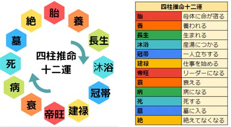 丁巳大運|四柱推命【丁巳 (ひのとみ)】の特徴｜性格・恋愛・相 